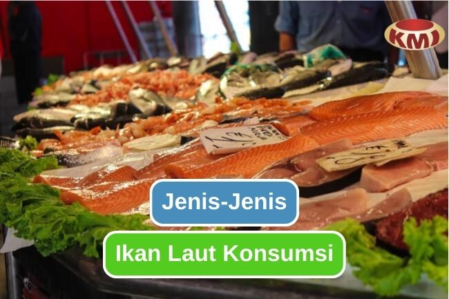 Inilah Ikan Laut Populer Yang Sering Dimakan 